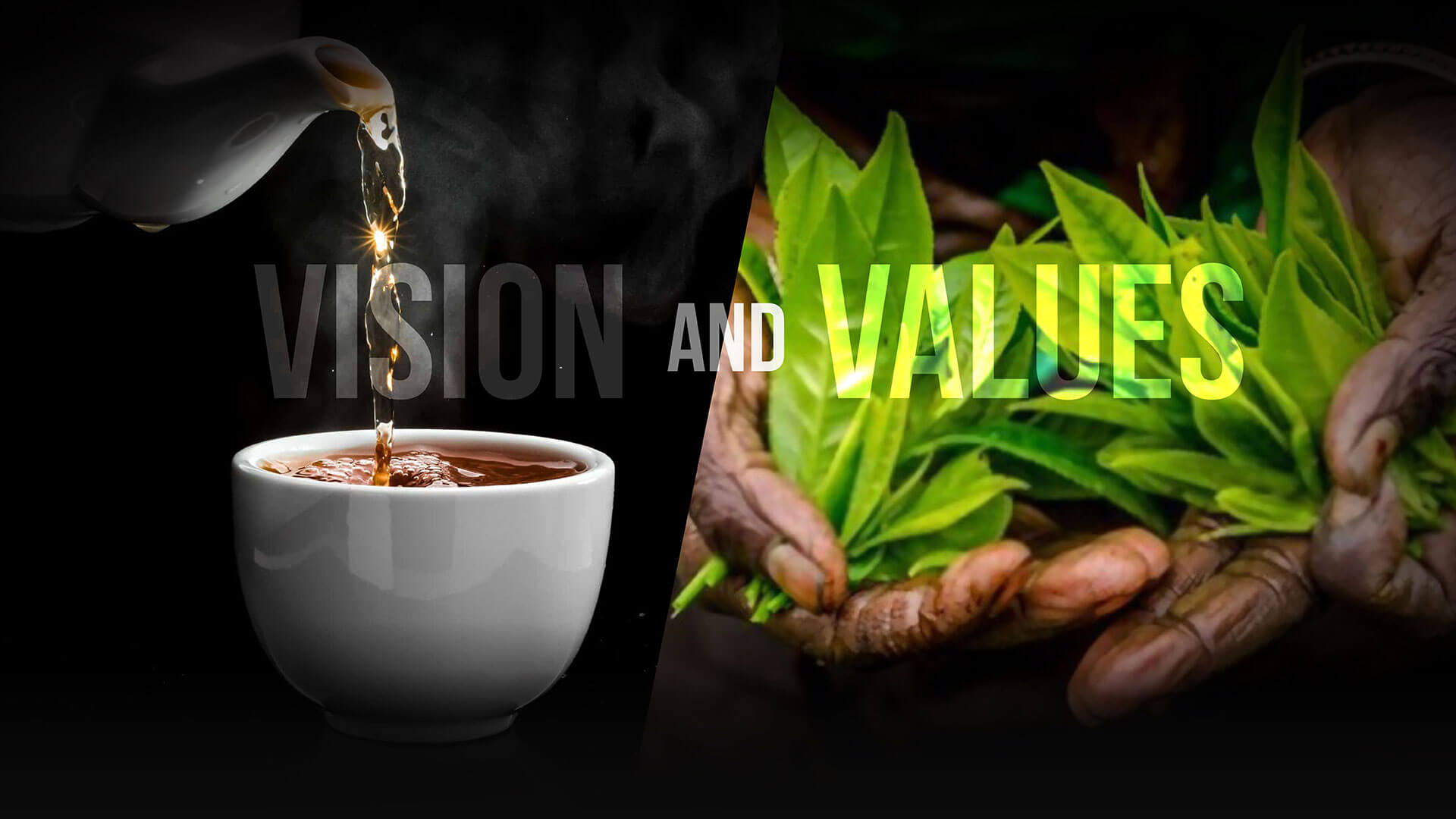 Vision and Values Banner