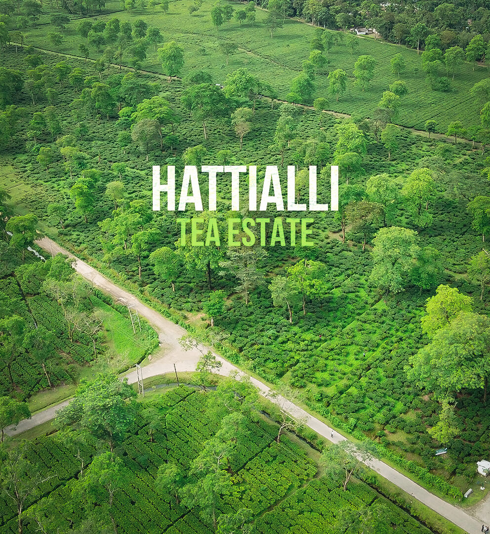 Hatialli Banner