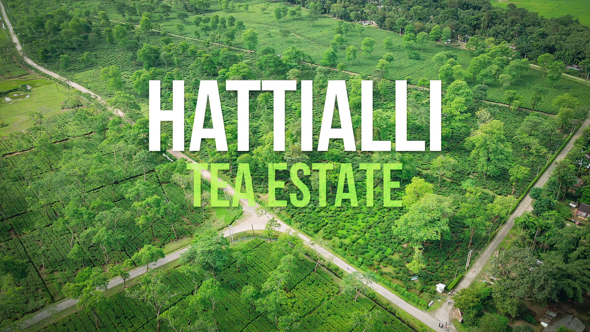 Hatialli Banner