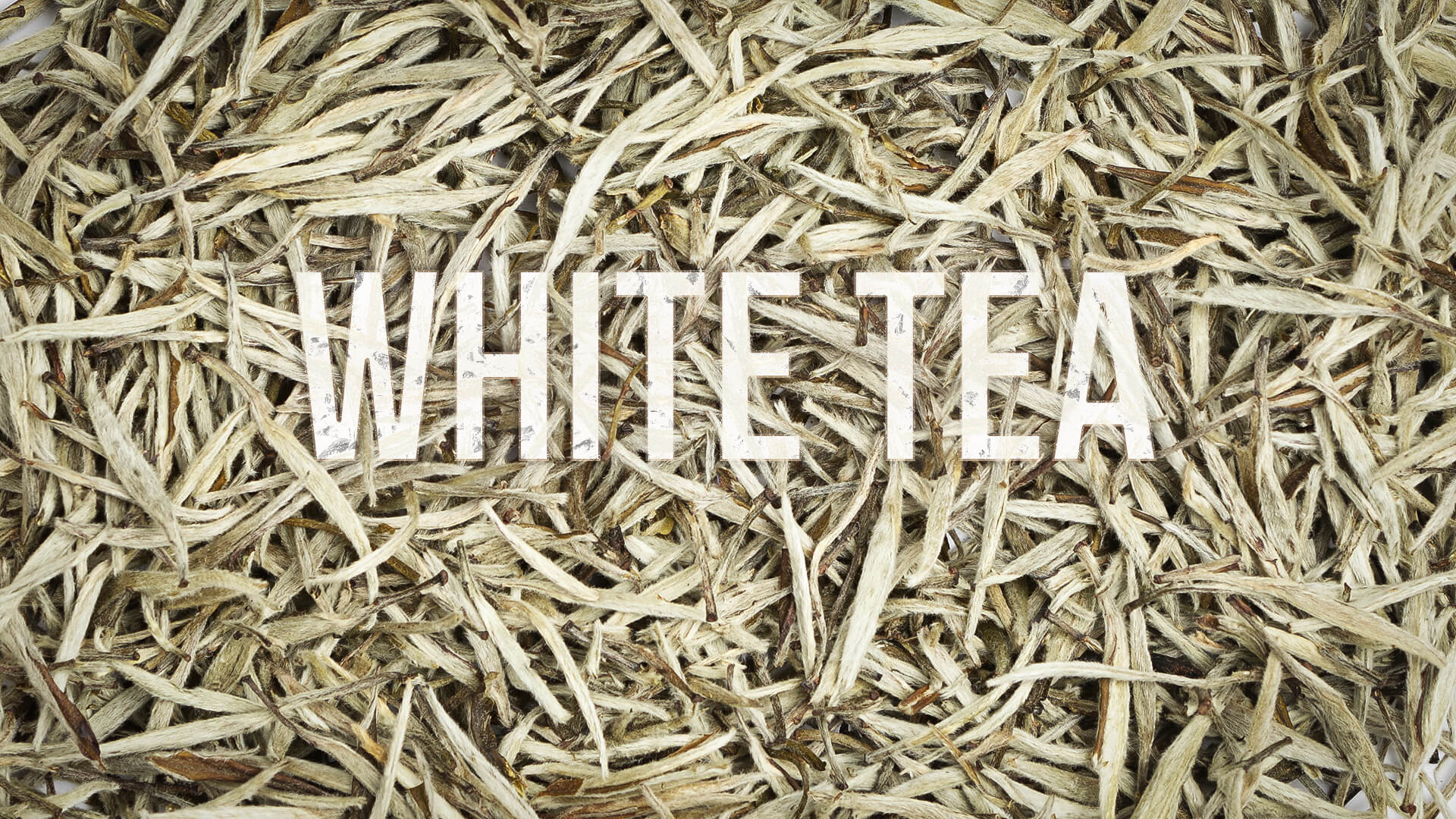 White Tea Banner