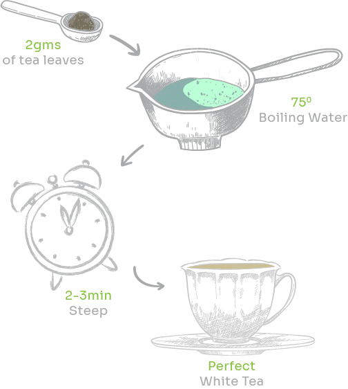 White Tea Brewing