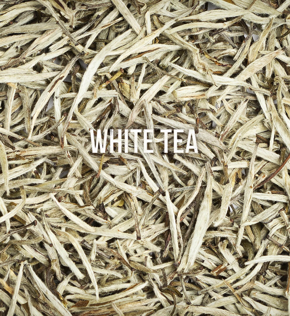 White Tea Banner